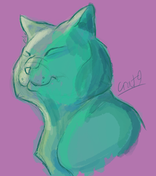 Kitty Color Test