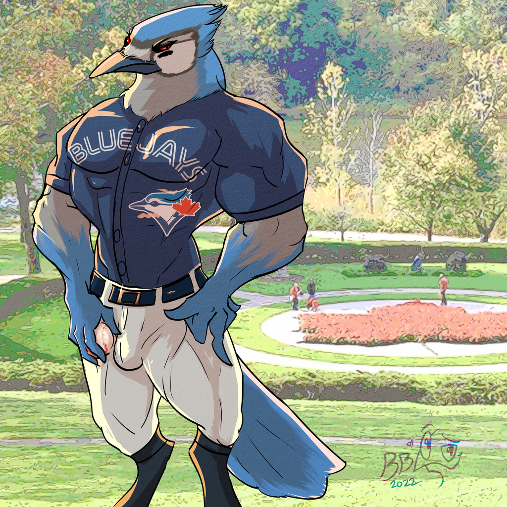 Most recent image: Ace the Blue Jay
