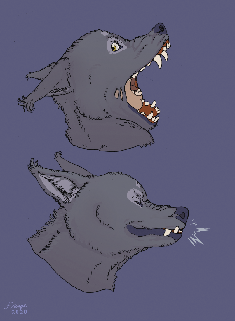 [Commission]-Wolf's Pelt 3
