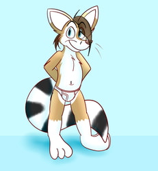 Kendall in Briefs! by Cyber-Bobcat