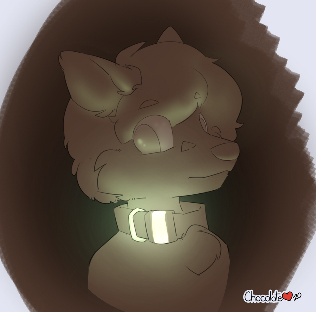 Wolfie's Streams - Safety Glow Fox