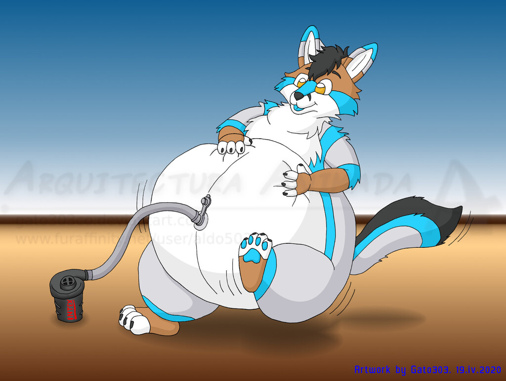 Inflated Wolf Fox [Anonymous Comm]