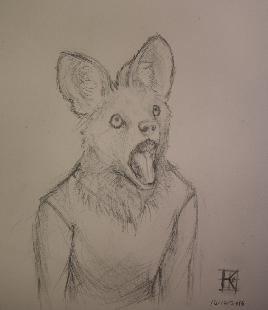  Expression study 3 (African Wild Dogs)