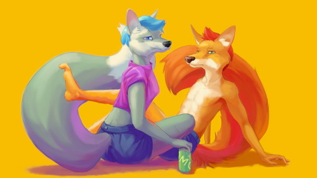 Suspicious Foxes