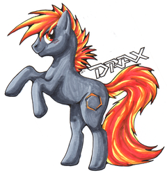 Drax Pony Badge