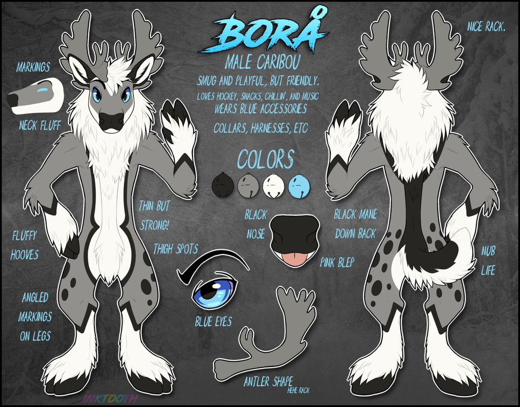 Most recent image: Bora Reference