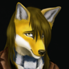 avatar of Ndro