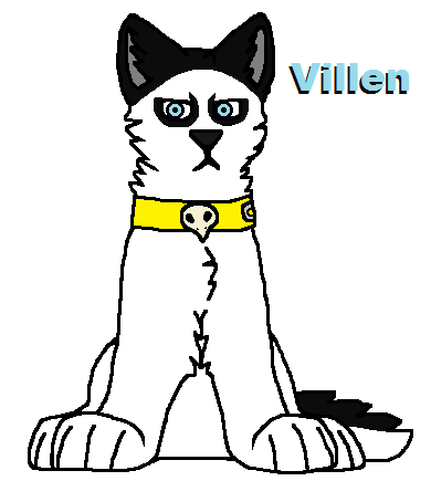 Villen the Husky (OC)