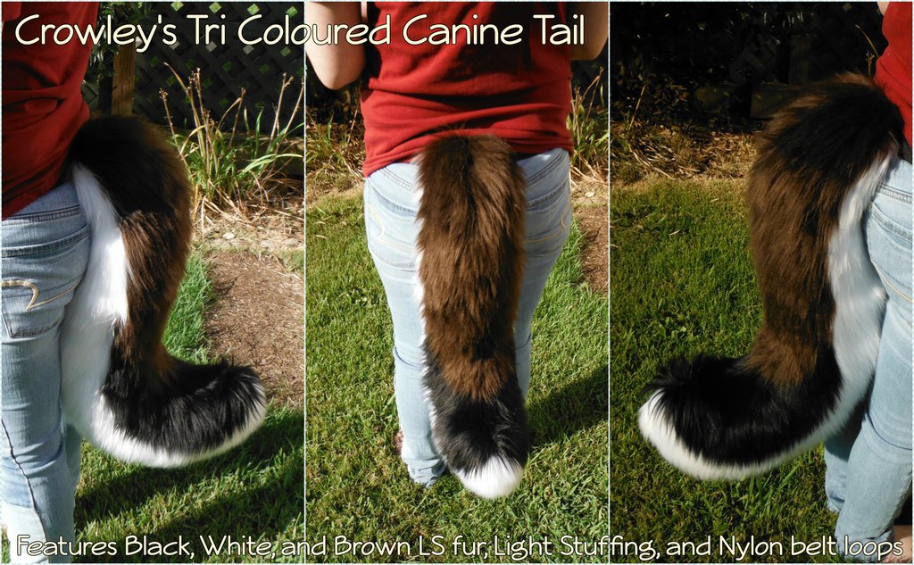 [C] Crowley's TriColoured Canine Tail