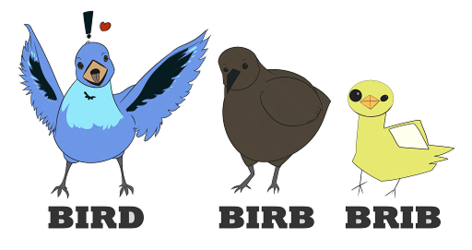 Birds Birb Brib