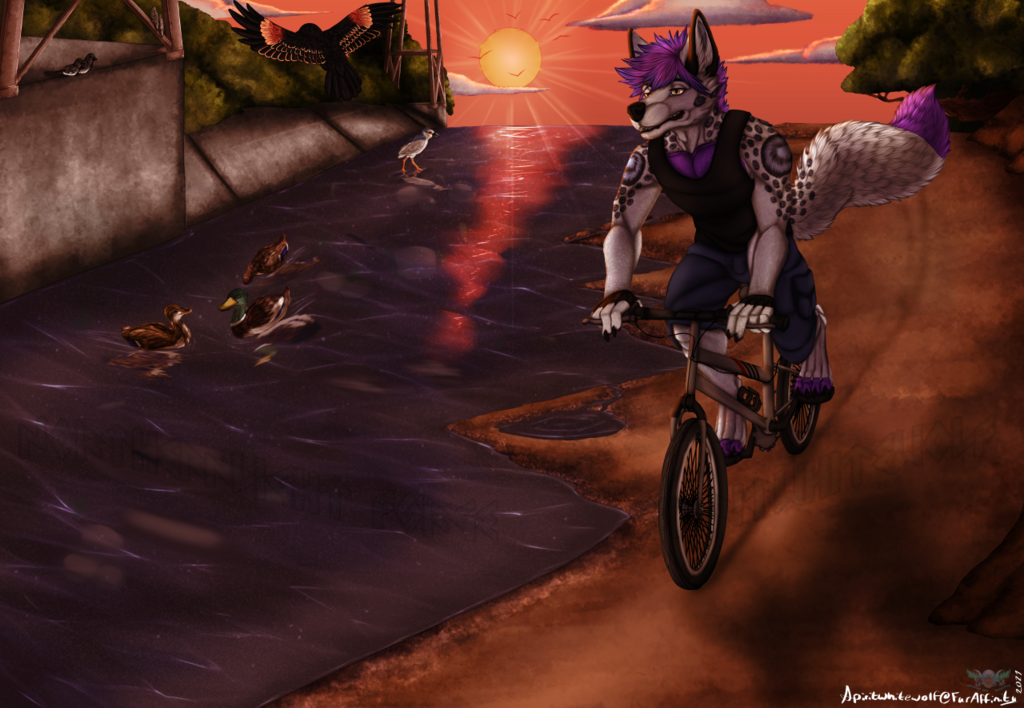 [C] Rode bike down the river