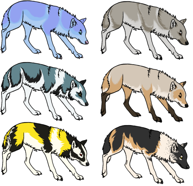 Wolf adopts - 3/6 available