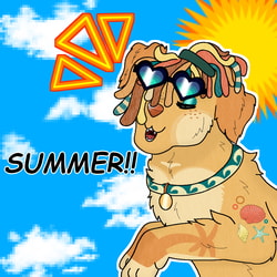 summer doge