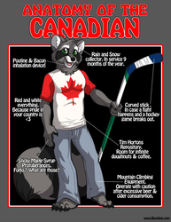 Anatomy of the Canadian