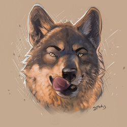 Hungry wolf speedpaint (and a video!)