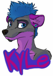 Kyle badge 