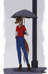 Manned Wolf in the Rain