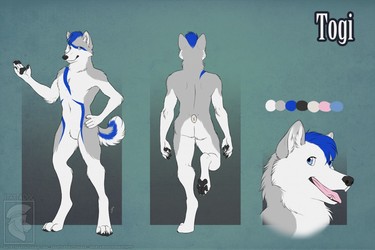 Commission - Togi Reference