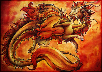 The dragon of fire - Agni
