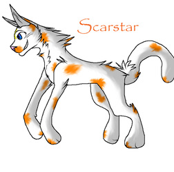 Scarstar