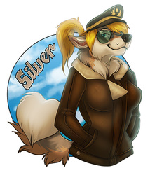 Silverhuskywolf Pilot Badge
