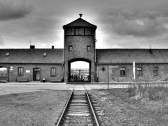 Concentration Camp