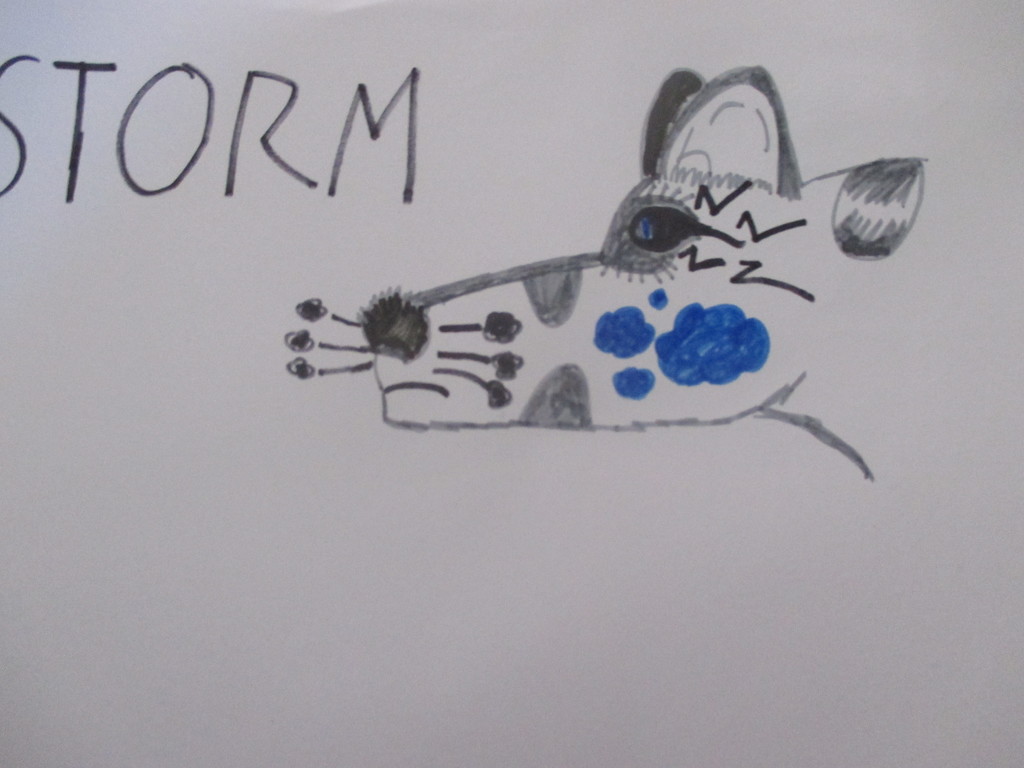 Storm The Male Wolf