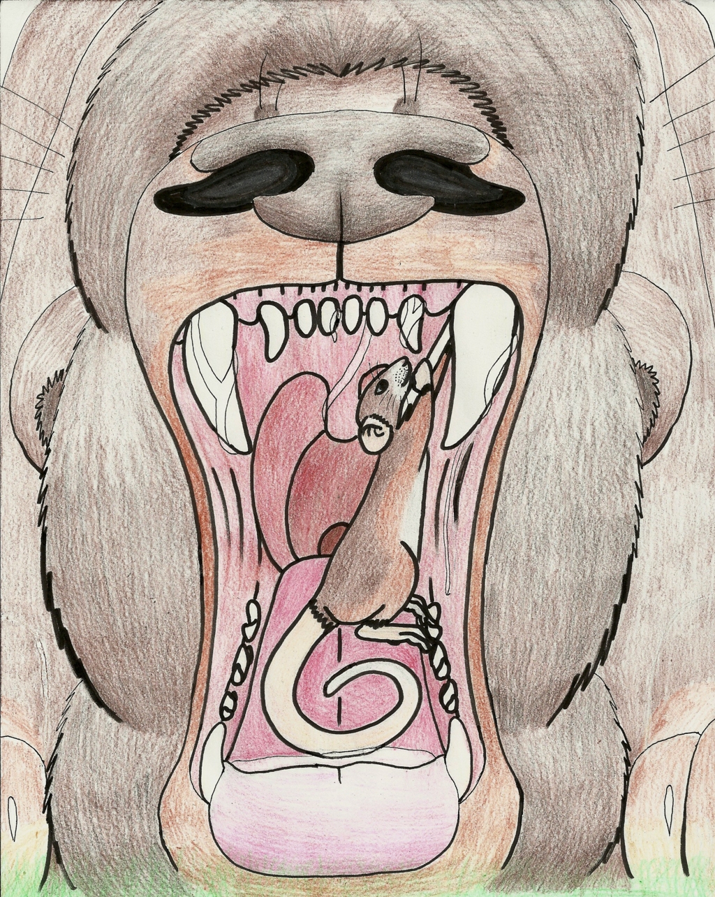 Dentist Rat