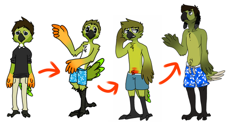 devbird evolution