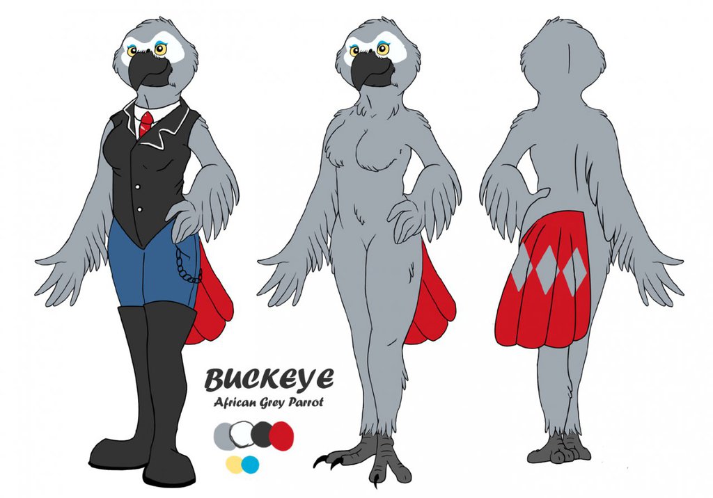 Buckeye - African Grey Parrot Ref - Drawn by Dreamerwolf