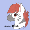 avatar of JaceMint