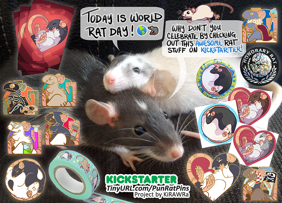 World Rat Day!