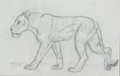 Feral Character Sketch