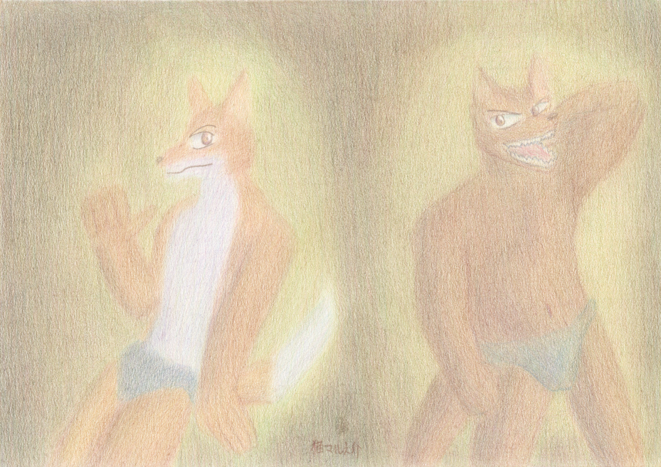 Wolf And Fox Practice