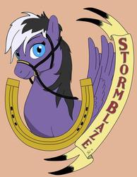 pony badge