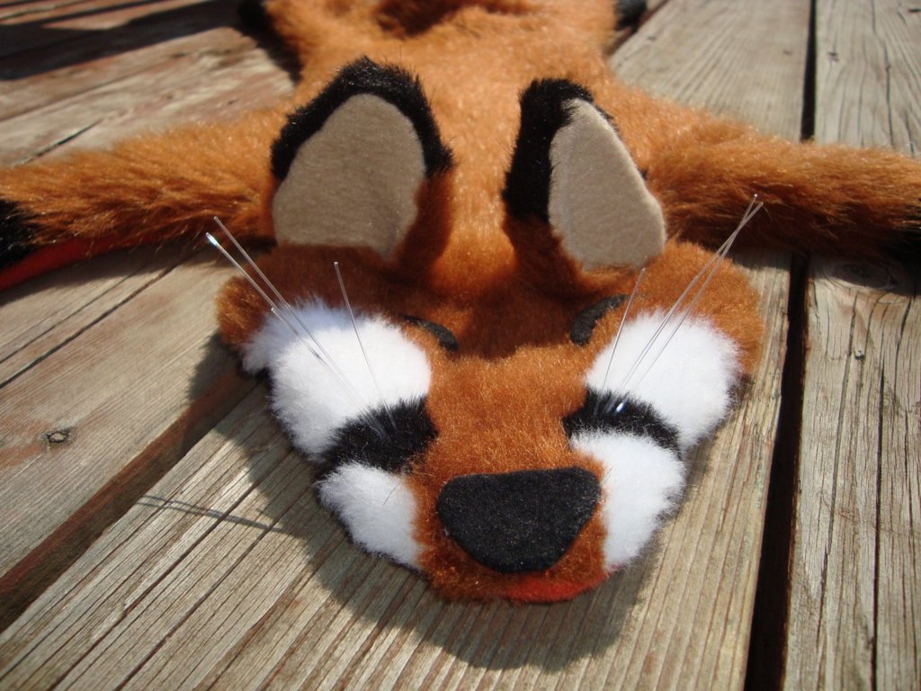 Faux fox pet close up