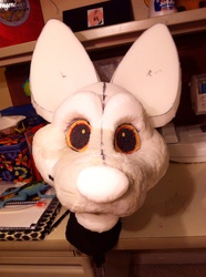 How's THAT for big ears? ;D