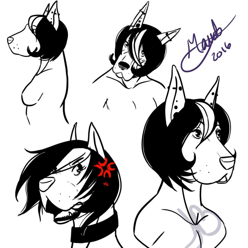 Most recent image: Maud- Expression Practios