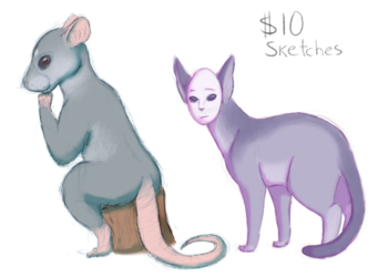 $10 Colored Sketches