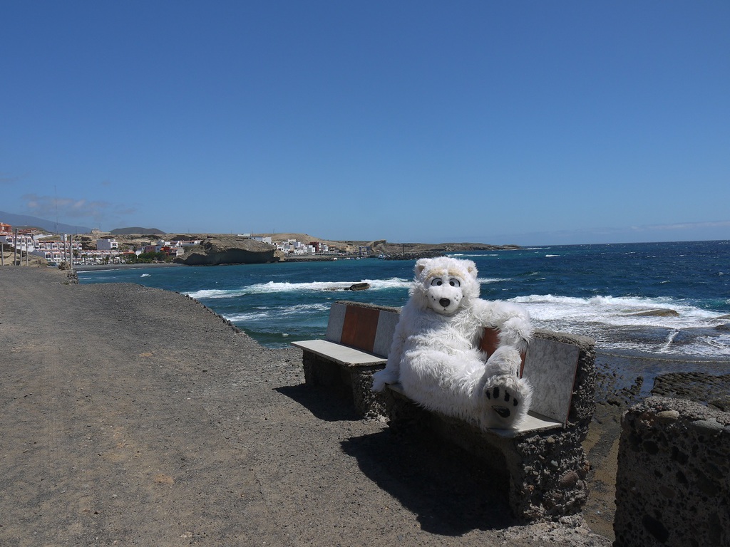 Tenerpaws Relaxes at the Coast in Tenerife