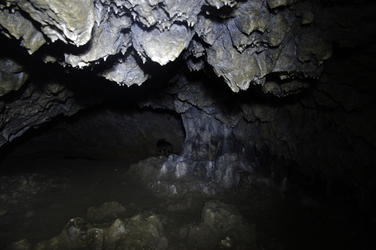 Die Feldhofhöhle 1