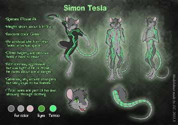 Simon Tesla model sheet
