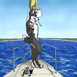 Commission: Having a blast in the sea