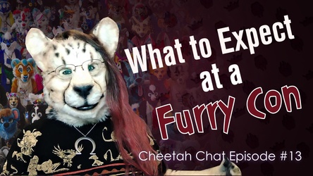 What to Expect at a Furry Con | Cheetah Chat #13