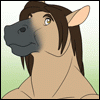 avatar of Shelby