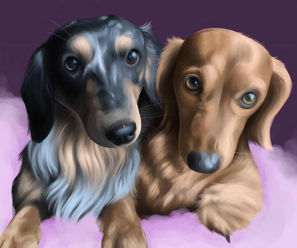My Mother's Dachshunds