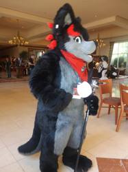 Favorite pictures from Rainfurrest 2013 (Part 43)