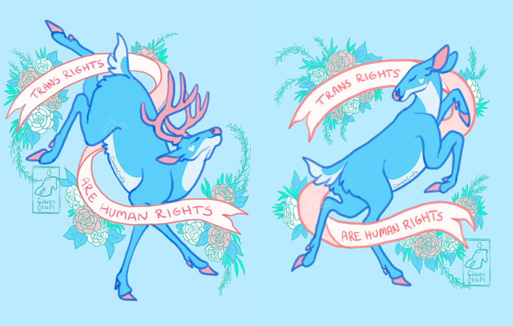 Queer Deer say Trans Rights (Blue)