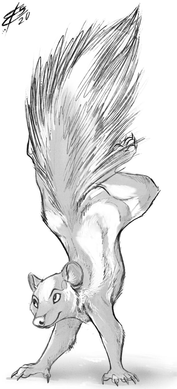 Skunky Sketch Commission