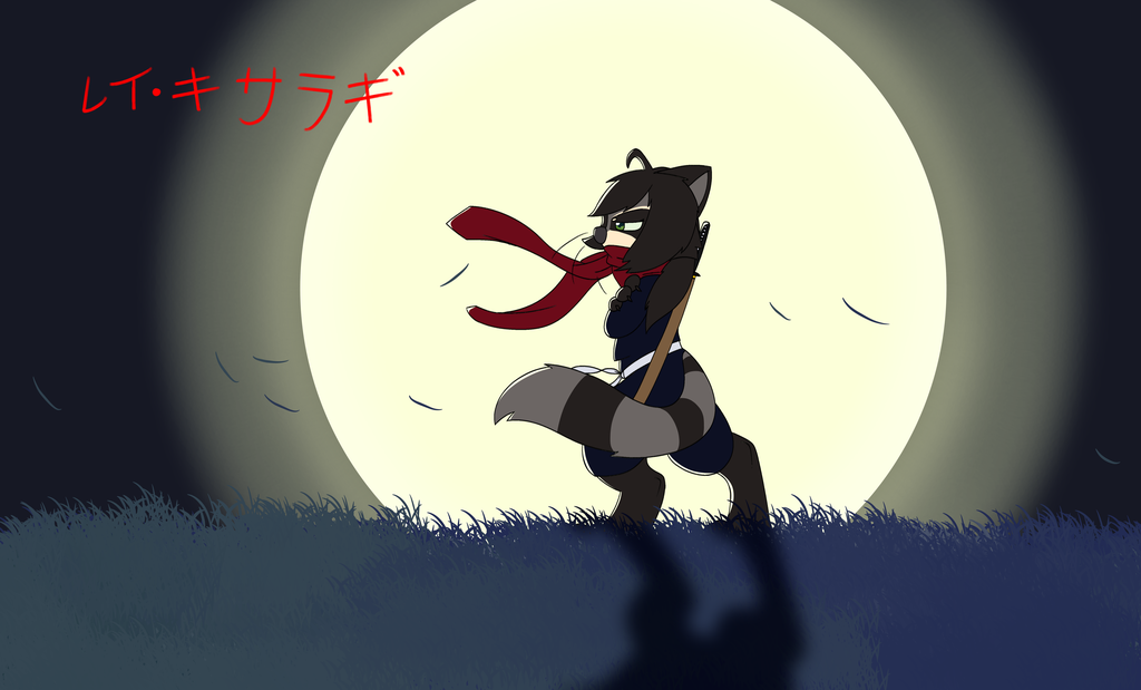 The Shadow Raccoon